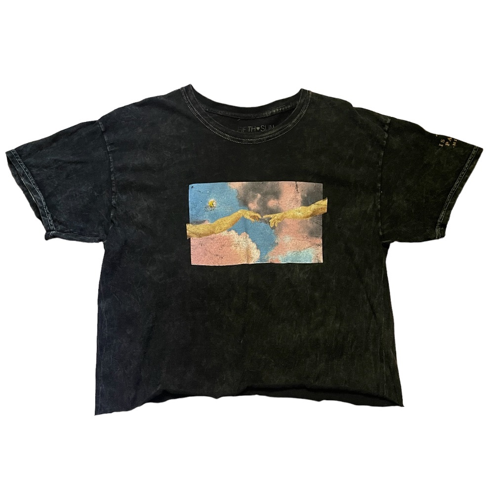 Fifth Sun Michelangelo Cropped T-Shirt